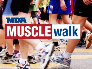 MuscleWalk