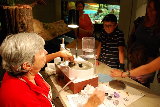 Museum of Natural Science